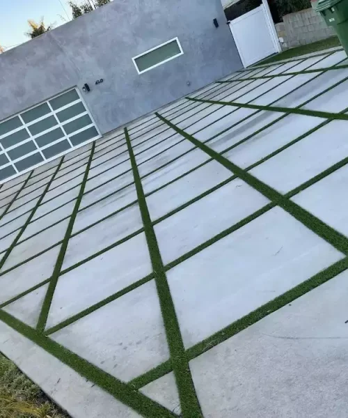 o (11)